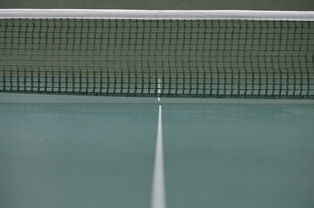 开云体育app-瑞典乒乓球队险胜日本乒乓球队，王皓制霸全场