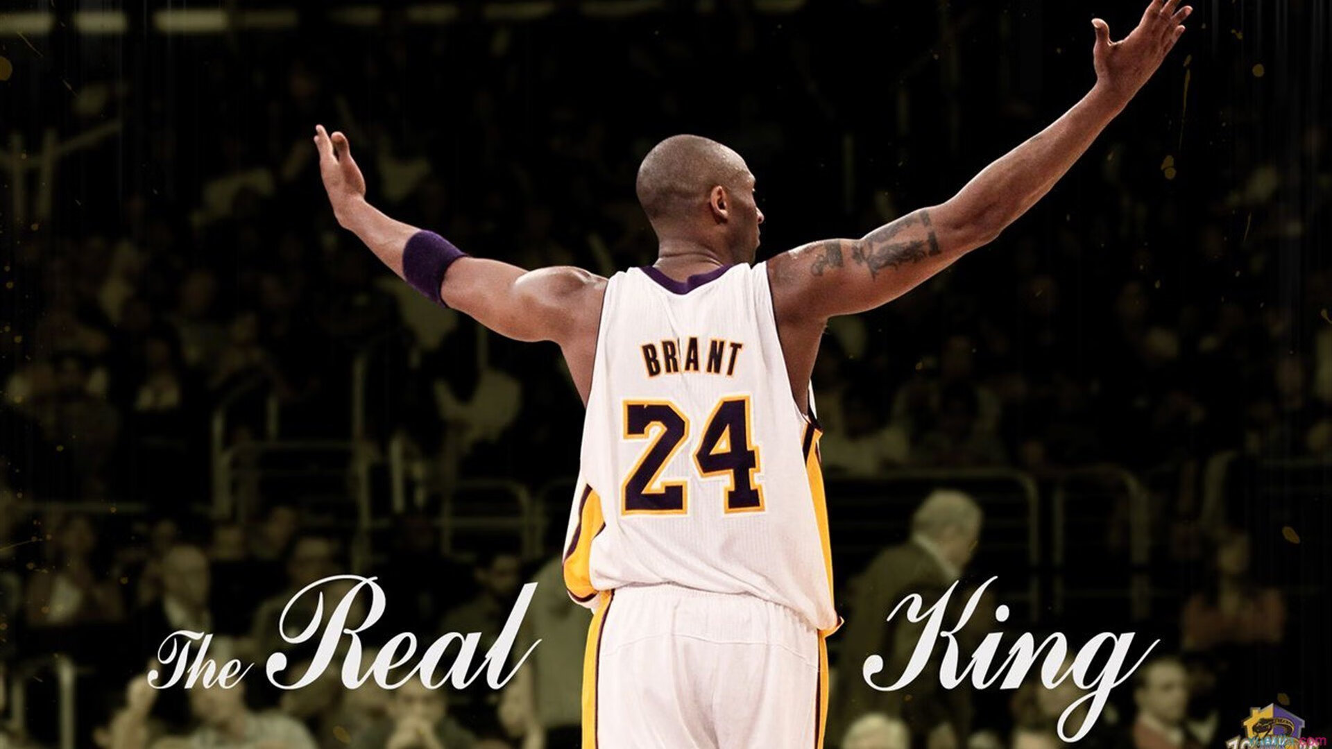 绿茵场与乒乓台的双重奏，葡萄牙横扫日本，樊振东惊艳世界