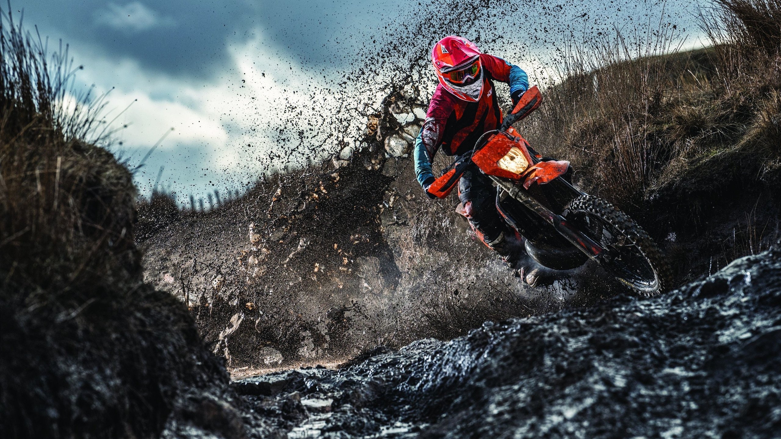 红牛二队绝地反击险胜威廉姆斯，诺里斯领航迈凯伦王者归来